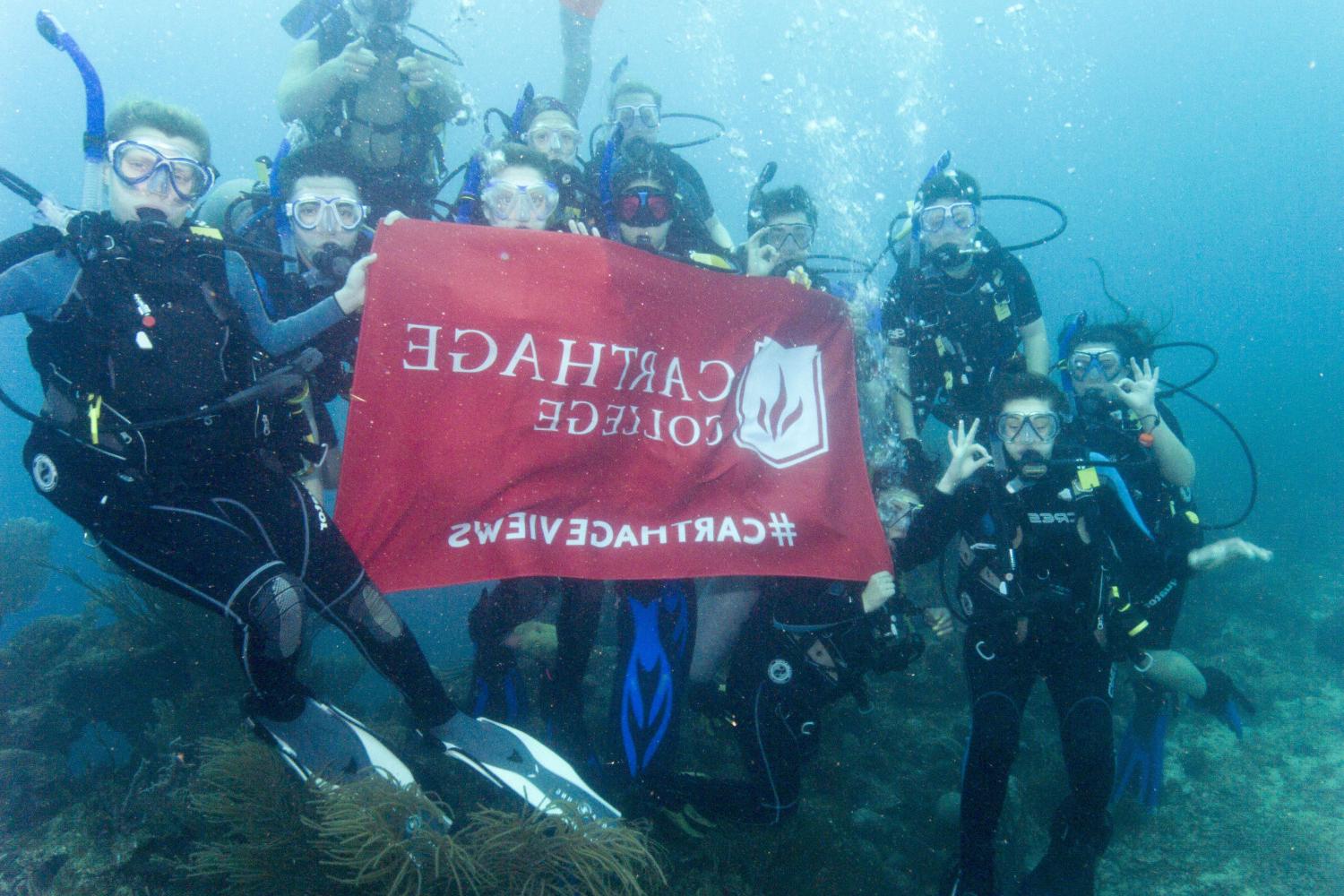 学生们手持<a href='http://dnli.ngskmc-eis.net'>博彩网址大全</a>旗帜，在j学期洪都拉斯游学之旅中潜水.
